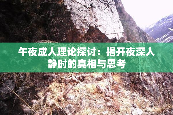 午夜成人理论探讨：揭开夜深人静时的真相与思考