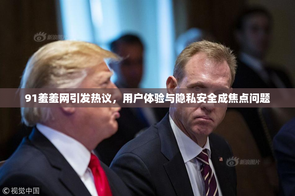 91羞羞网引发热议，用户体验与隐私安全成焦点问题