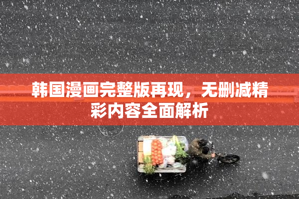 韩国漫画完整版再现，无删减精彩内容全面解析