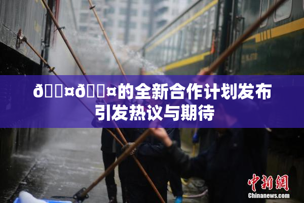 🐤🐤的全新合作计划发布 引发热议与期待
