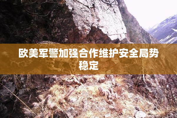 欧美军警加强合作维护安全局势稳定