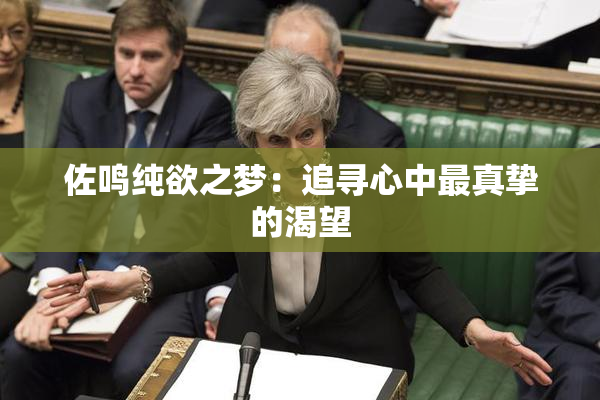 佐鸣纯欲之梦：追寻心中最真挚的渴望