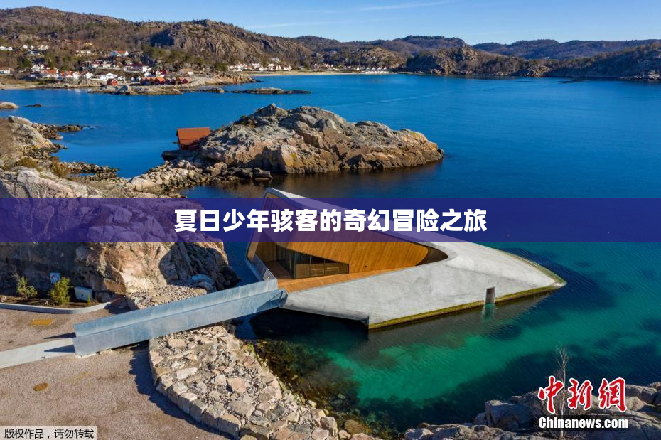 夏日少年骇客的奇幻冒险之旅
