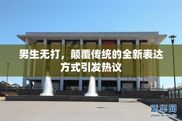 男生无打，颠覆传统的全新表达方式引发热议
