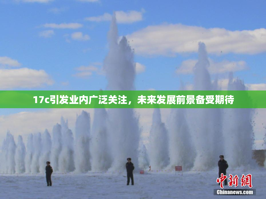 17c引发业内广泛关注，未来发展前景备受期待
