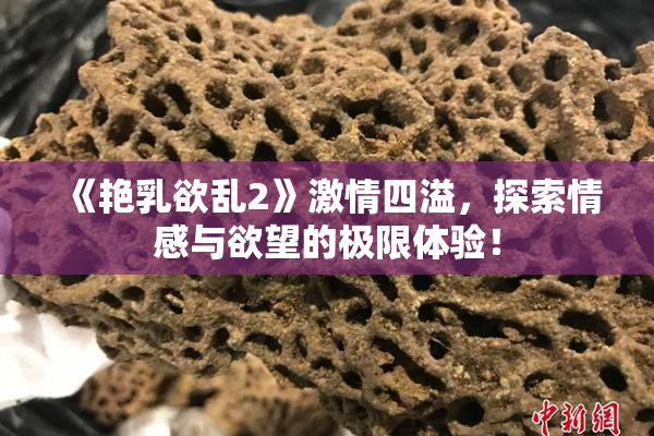《艳乳欲乱2》激情四溢，探索情感与欲望的极限体验！
