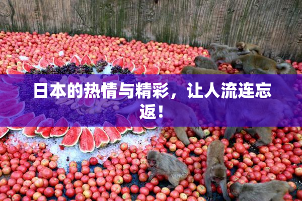 日本的热情与精彩，让人流连忘返！