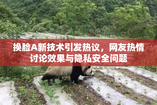 换脸A新技术引发热议，网友热情讨论效果与隐私安全问题