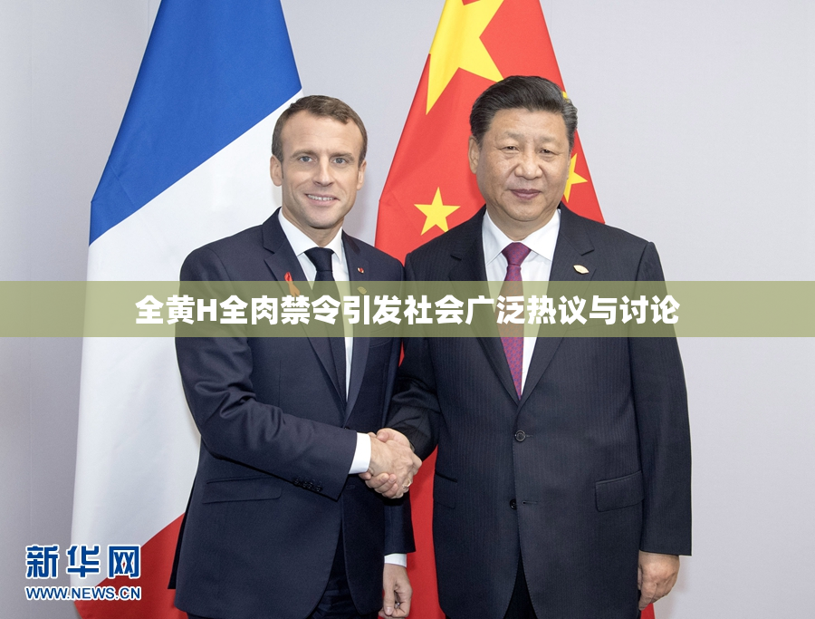全黄H全肉禁令引发社会广泛热议与讨论