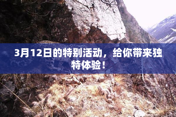3月12日的特别活动，给你带来独特体验！