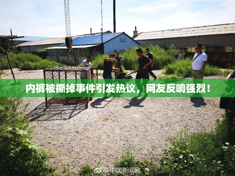 内裤被撕掉事件引发热议，网友反响强烈！