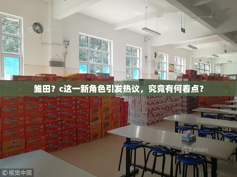 雏田？c这一新角色引发热议，究竟有何看点？