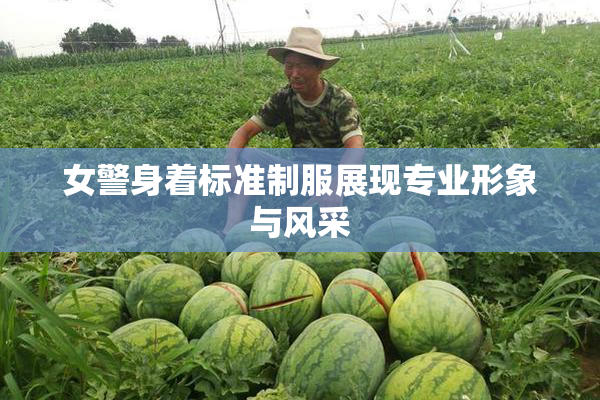 女警身着标准制服展现专业形象与风采