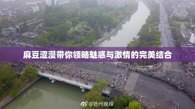 麻豆涩漫带你领略魅惑与激情的完美结合
