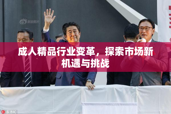 成人精品行业变革，探索市场新机遇与挑战