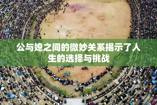 公与媳之间的微妙关系揭示了人生的选择与挑战