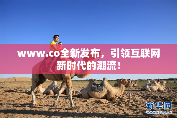 www.co全新发布，引领互联网新时代的潮流！