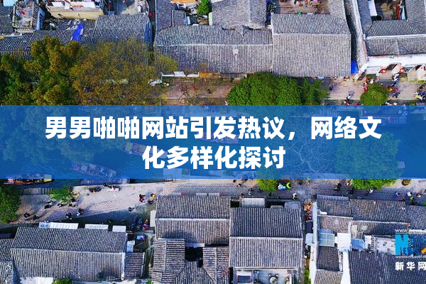 男男啪啪网站引发热议，网络文化多样化探讨