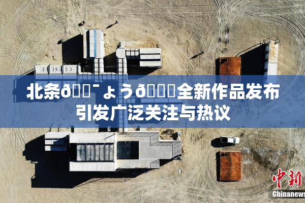 北条🔯ょう🍓全新作品发布引发广泛关注与热议