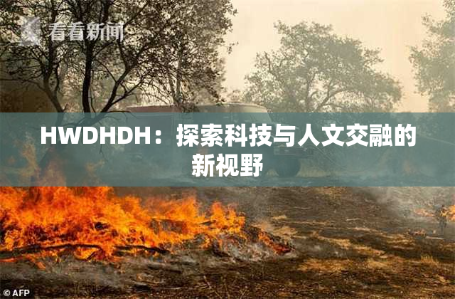 HWDHDH：探索科技与人文交融的新视野
