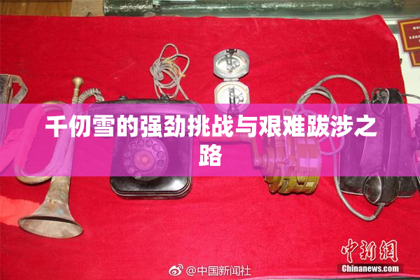 千仞雪的强劲挑战与艰难跋涉之路