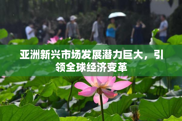 亚洲新兴市场发展潜力巨大，引领全球经济变革