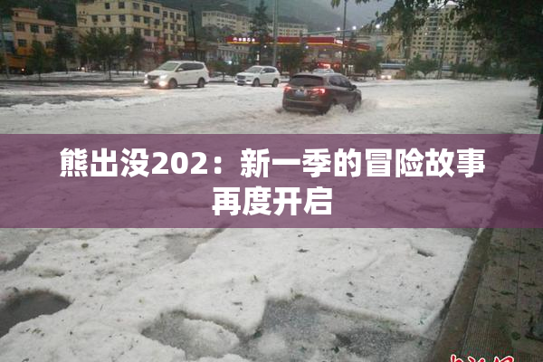 熊出没202：新一季的冒险故事再度开启