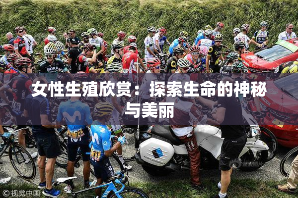 女性生殖欣赏：探索生命的神秘与美丽