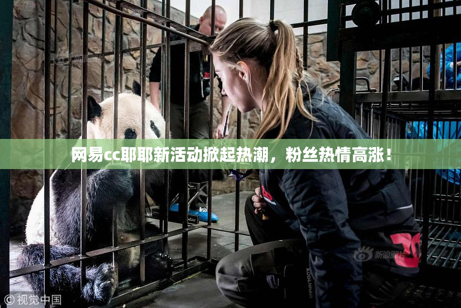网易cc耶耶新活动掀起热潮，粉丝热情高涨！