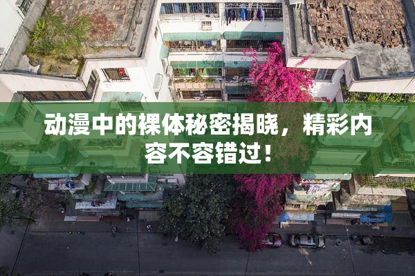 动漫中的裸体秘密揭晓，精彩内容不容错过！