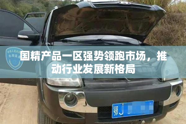 国精产品一区强势领跑市场，推动行业发展新格局