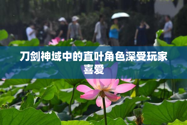 刀剑神域中的直叶角色深受玩家喜爱