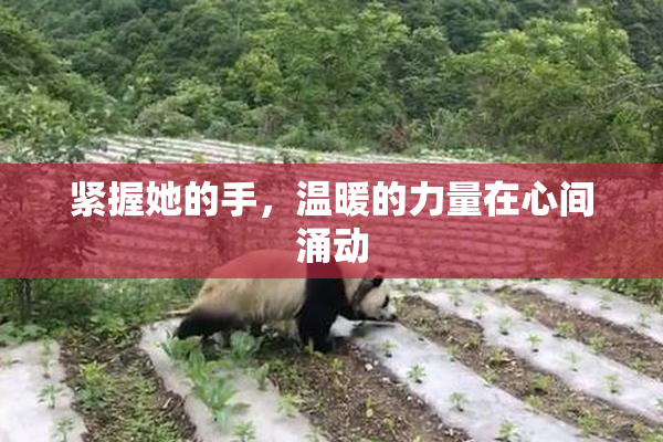 紧握她的手，温暖的力量在心间涌动