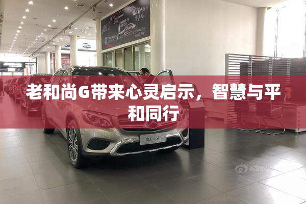 老和尚G带来心灵启示，智慧与平和同行