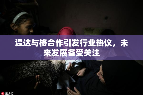 温达与格合作引发行业热议，未来发展备受关注