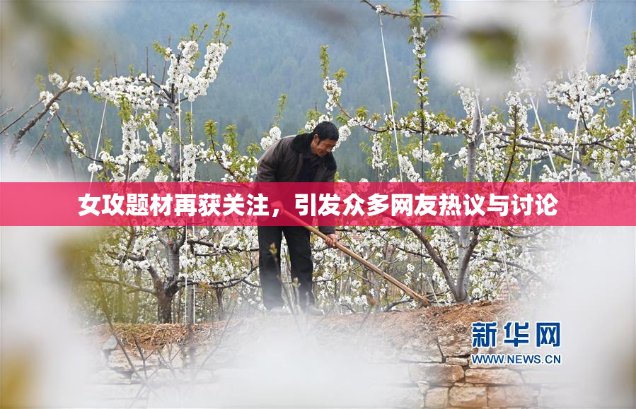 女攻题材再获关注，引发众多网友热议与讨论