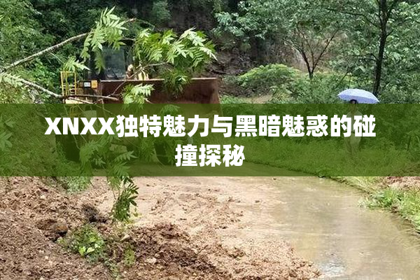 XNXX独特魅力与黑暗魅惑的碰撞探秘