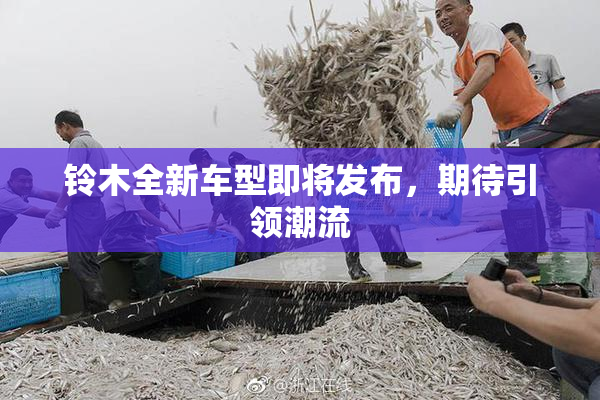 铃木全新车型即将发布，期待引领潮流