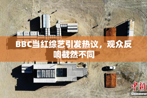 BBC当红综艺引发热议，观众反响截然不同
