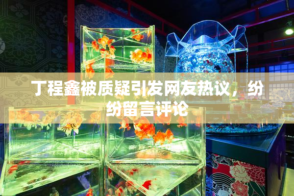 丁程鑫被质疑引发网友热议，纷纷留言评论