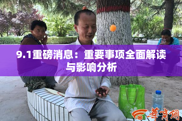 9.1重磅消息：重要事项全面解读与影响分析