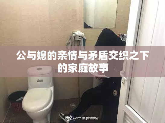 公与媳的亲情与矛盾交织之下的家庭故事
