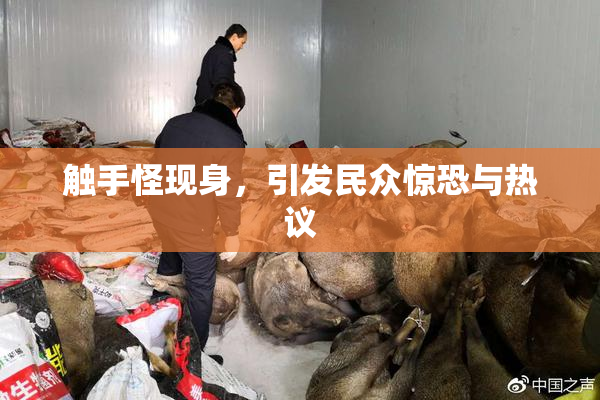 触手怪现身，引发民众惊恐与热议