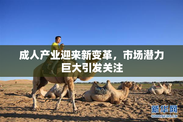 成人产业迎来新变革，市场潜力巨大引发关注