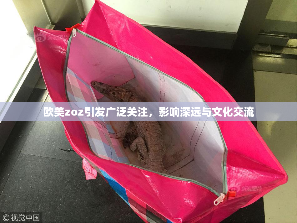 欧美zoz引发广泛关注，影响深远与文化交流