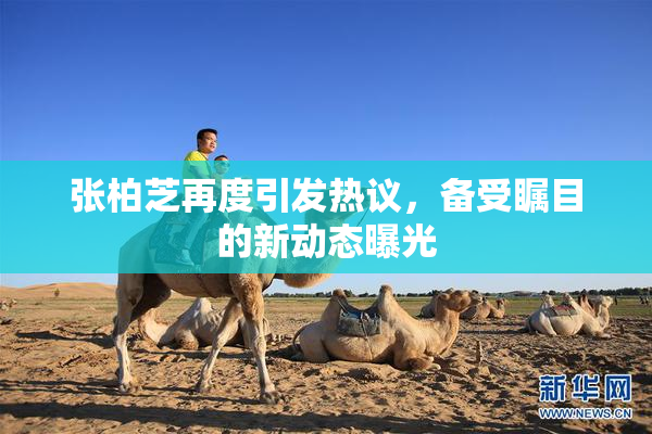 张柏芝再度引发热议，备受瞩目的新动态曝光