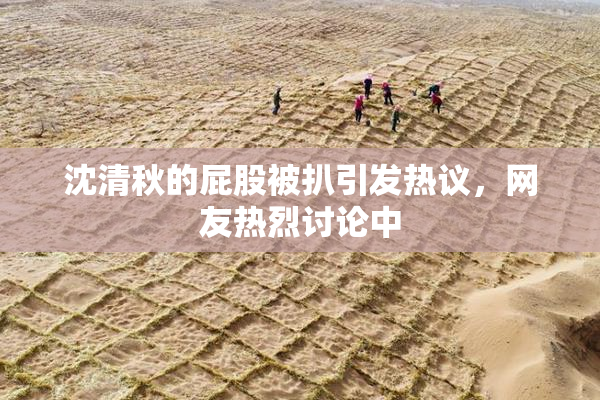 沈清秋的屁股被扒引发热议，网友热烈讨论中