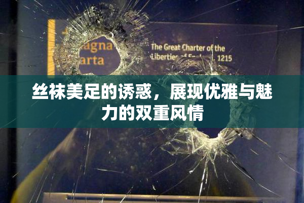 丝袜美足的诱惑，展现优雅与魅力的双重风情