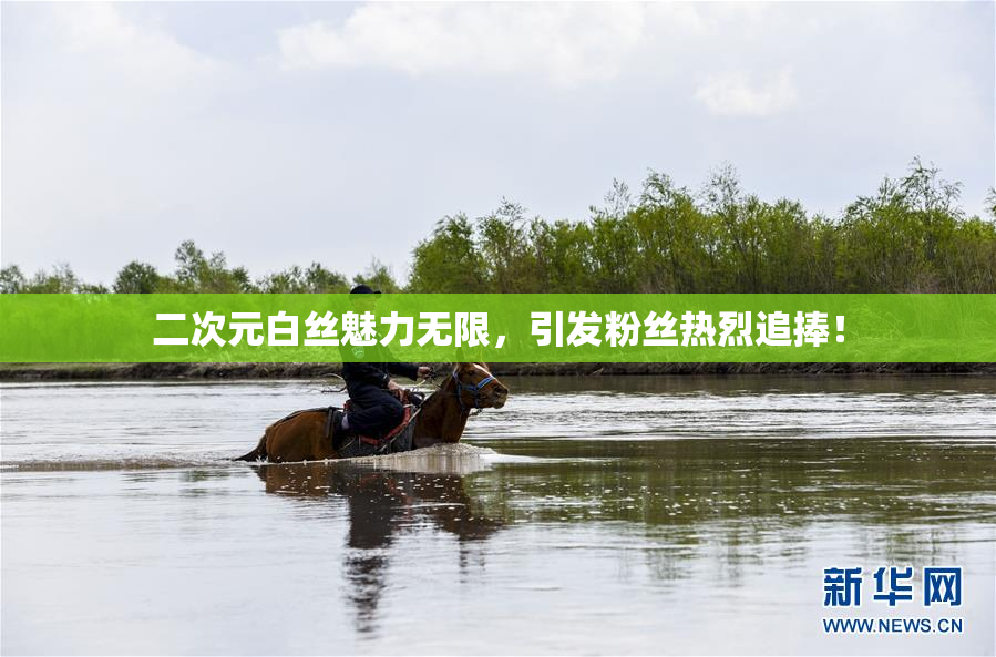 二次元白丝魅力无限，引发粉丝热烈追捧！