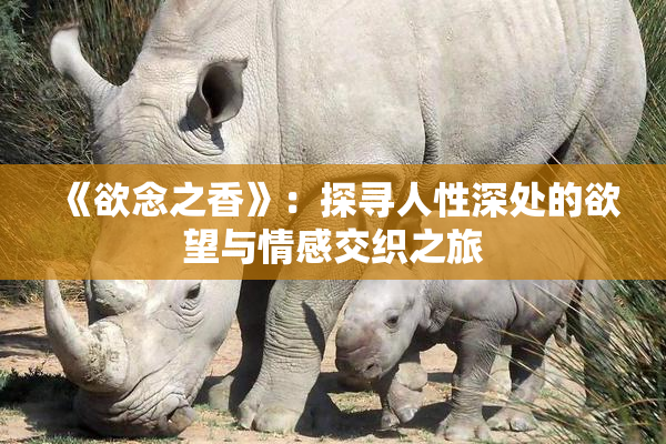 《欲念之香》：探寻人性深处的欲望与情感交织之旅